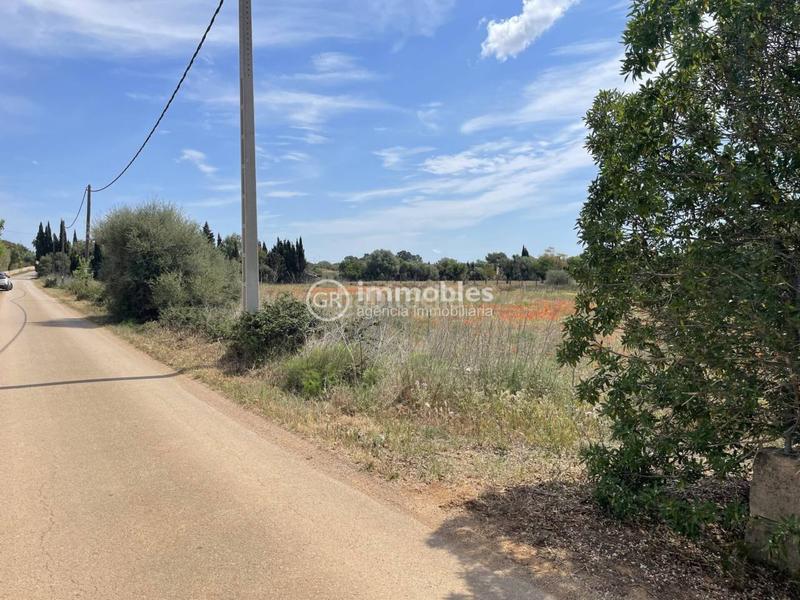 Foto 3ff16959-a4dc-4ff7-b808-f567c623127d. Propriété dans Sencelles