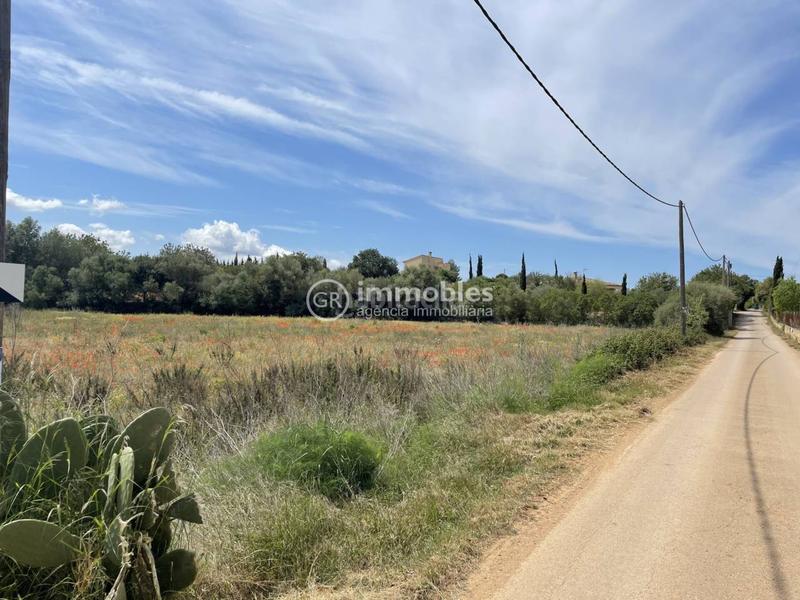Foto 9c6ebf18-51e2-40a7-a41e-7b842030f85c. Propriété dans Sencelles
