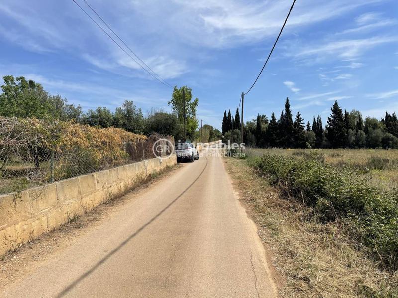 Foto df4e1ce8-7b5c-40d4-a7b4-7565dec3bc88. Propriété dans Sencelles