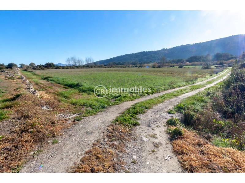 Foto 0c2ad9a1-b24f-4eb8-8426-9b35d97dbc22. Fondo rustico in Pollença poble Pollença