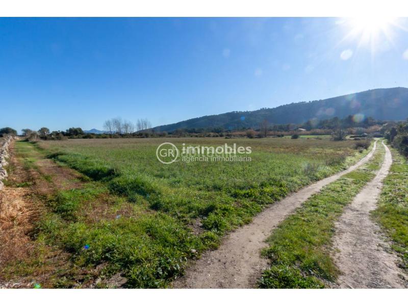 Foto ad002177-c0ec-46a2-b5bb-dbb982aafa37. Fondo rustico in Pollença poble Pollença