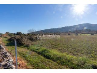Rural plot in Pollença Poble. Terreno en venta en pollença