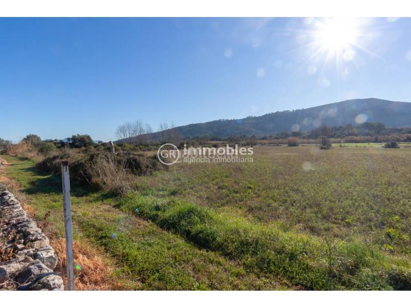 Foto c7a15746-bce1-4718-8bfc-28e0fce11074. Fondo rustico in Pollença poble Pollença