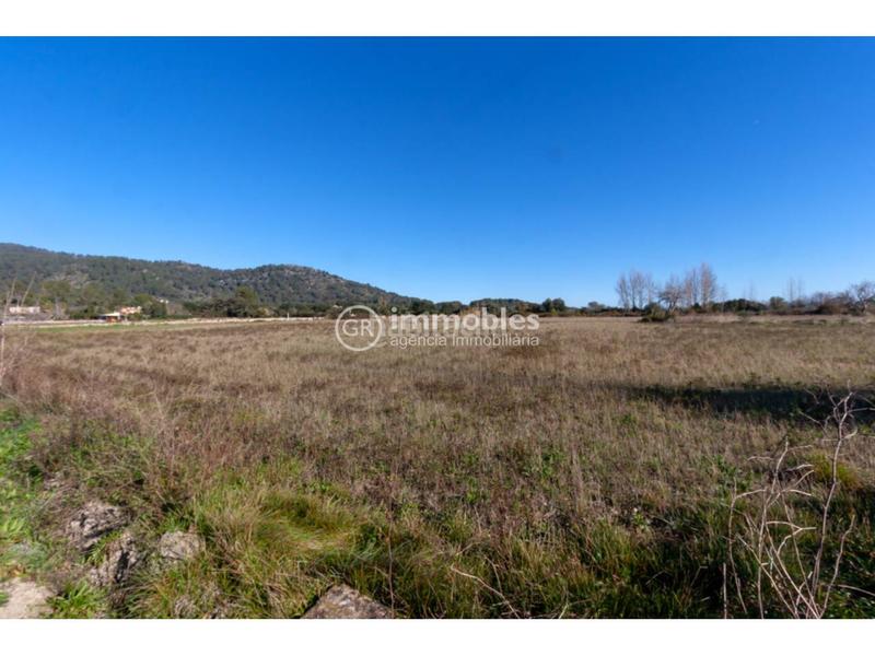 Foto d1af020b-67d9-4bd7-9b5e-df3c63c41185. Fondo rustico in Pollença poble Pollença