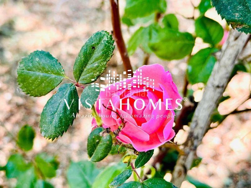Foto 4b2b300e-3dd1-4715-b440-887521586ef1. Country house with heating in Fuente el Saz de Jarama