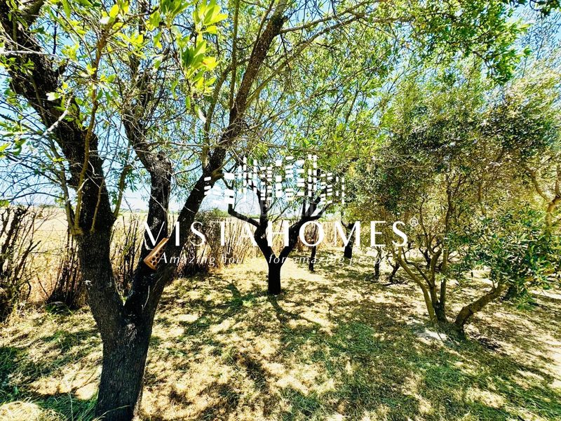Foto 6effc51d-7ddd-48d1-ae25-0b38a95ed7d6. Country house with heating in Fuente el Saz de Jarama
