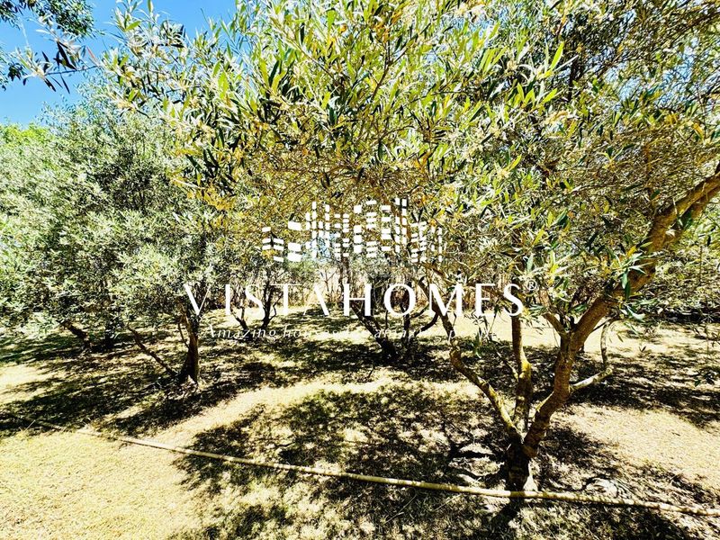 Foto 9108ca2c-eaef-4959-b52f-1470cad565f3. Country house with heating in Fuente el Saz de Jarama