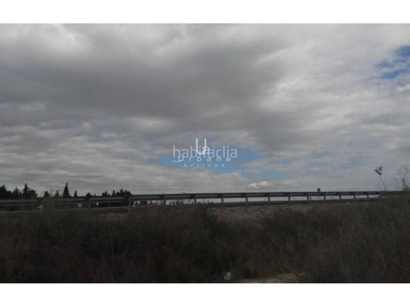 Foto f4a8ab09-804c-4c55-995f-16b9e91971a4. Finca rústica a calle partida El Palmar 1 a El Palmar Murcia