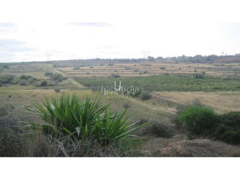 Foto 2f2a87c0-67ce-4a9f-a082-4b8258a402d8. Finca rústica a Alginet