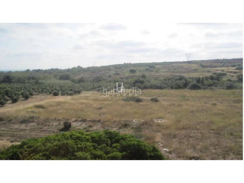 Foto 88b034f5-ff5d-4fb0-80e6-4ab579dffd53. Finca rústica a Alginet