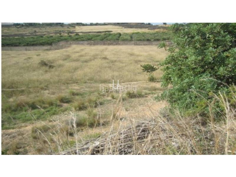 Foto f4d32784-e3c2-472f-986e-67ac8b86b686. Finca rústica a Alginet