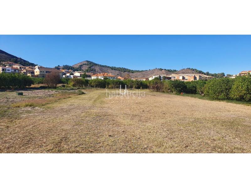 Foto 63372463-0878-426f-9e82-33ea3e908114. Finca rústica a El Esparragal Murcia