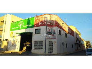 Industrial building in Pilar 76. Oportunidad nave industrial en san pedro del pinatar
