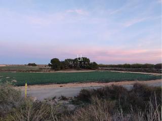 Rural plot  Pp granados. Suelo urbanizable en gea y truyols