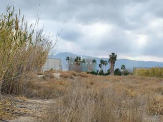 Rural plot  Enmedio. Suelo urbano residencial en puente tocinos