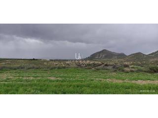 Rural plot  Poligono 257 parcela 15. Finca rustica en venta en zarcilla de ramosdoña inés