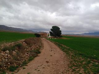 Finca rústica a Jumilla. Parcela rústica ubicada en el paraje de el ardal de jumilla