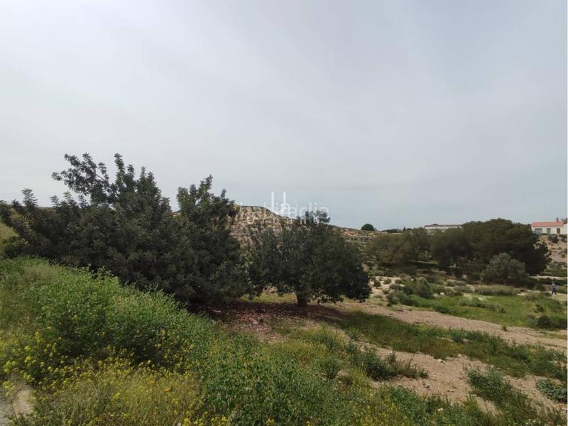 Foto d2b27ee9-436d-46a1-a164-98c28318f822. Fondo rustico in Javalí Nuevo Murcia