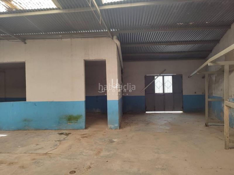 Foto f6447f22-d400-41cd-ab51-51e9c886542c. Fondo rustico in Javalí Nuevo Murcia