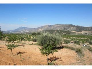 Finca rústica  Poligono 3. Finca rustica en venta en abanilla  precio a consultar