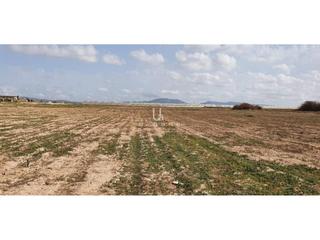 Rural plot  Gea y truyols. Oportunidad finca de banco sin comisiones!!!