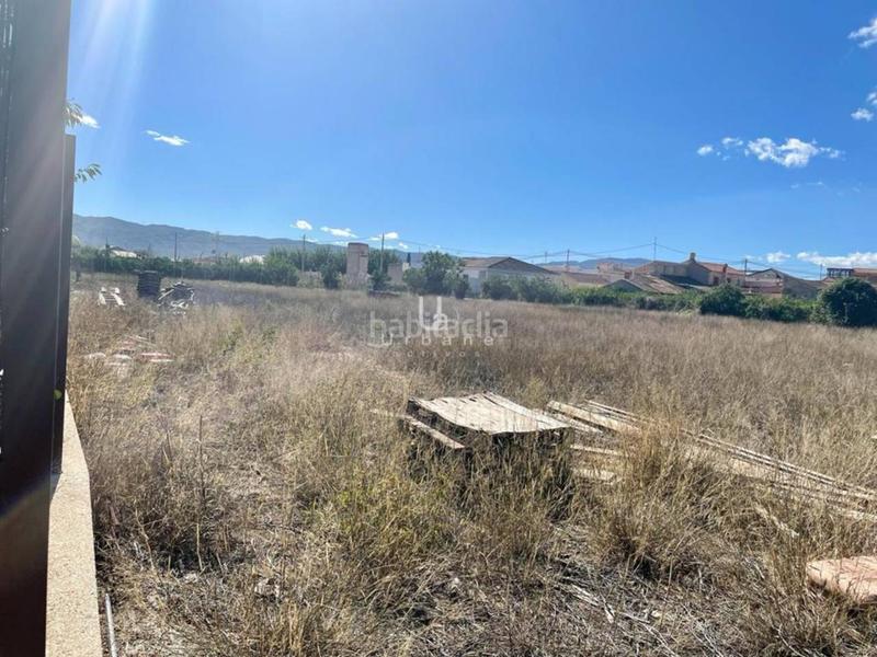 Foto 0ac46454-18b1-42ae-ba91-cc9c56bfff0c. Fondo rustico in Nonduermas Murcia