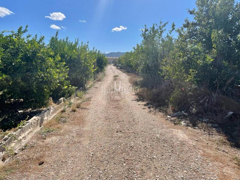 Foto 1ff2b40d-e098-41f3-a3ad-f6f6c6723335. Fondo rustico in Nonduermas Murcia