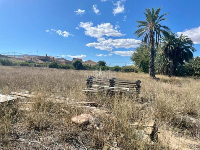 Foto b621254c-9d14-48d4-bab3-9916d2509b43. Fondo rustico in Nonduermas Murcia