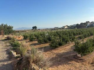 Finca rústica  Poligono. Finca rústica en alginet, valencia