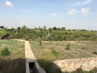 Fondo rustico  Garres. Oportunidad rustica de regadío de banco en murcia!!!