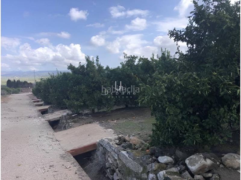 Foto 31c1f6c3-6acb-4eaa-a78a-b40d966b83a8. Landgut in Canals