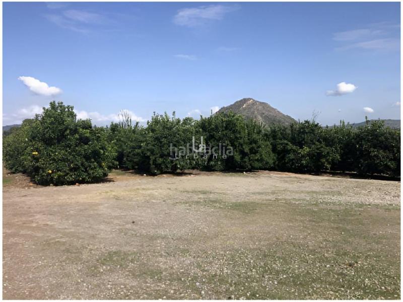 Foto 4e205938-2b9c-4aaf-a3da-ae4fb0cae12b. Landgut in Canals