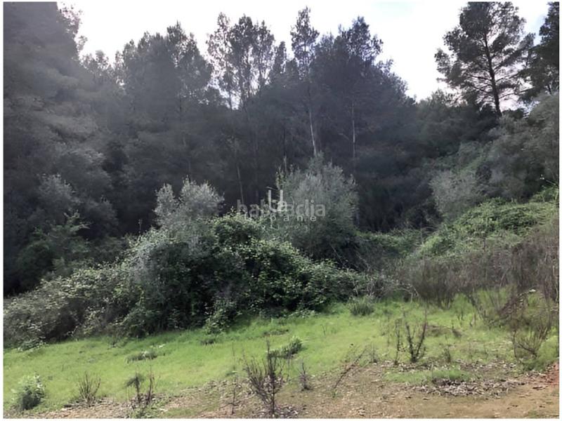 Foto f9399836-a4e9-4165-8e00-f6387db799b6. Landgut in Canals