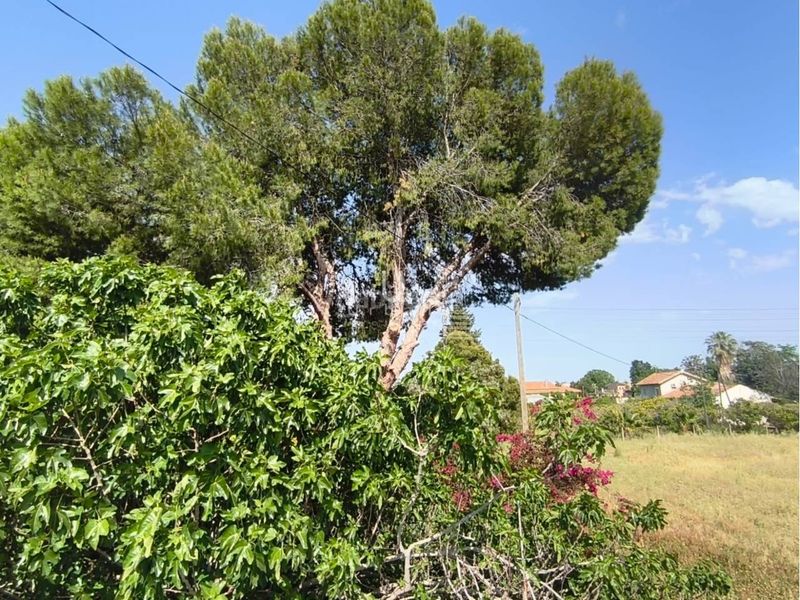Foto eb0d7f69-b885-4175-99d4-336606b1c276. Masia a Albatalia Murcia
