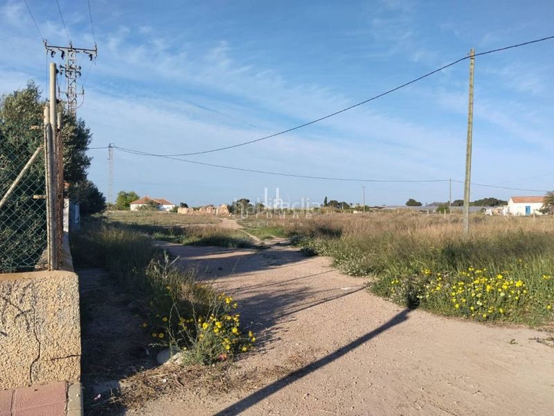 Foto 12a78b21-112f-4681-90ac-ef3f60112e50. Finca rústica a Torre-Pacheco Torre - Pacheco