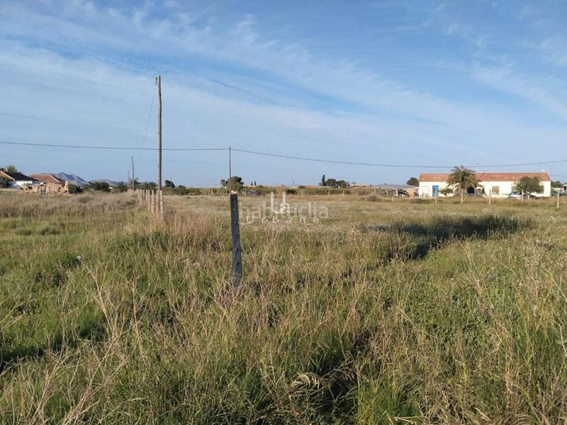 Foto 22a65fc0-27ee-47a2-8758-da1b9f62eddf. Finca rústica a Torre-Pacheco Torre - Pacheco