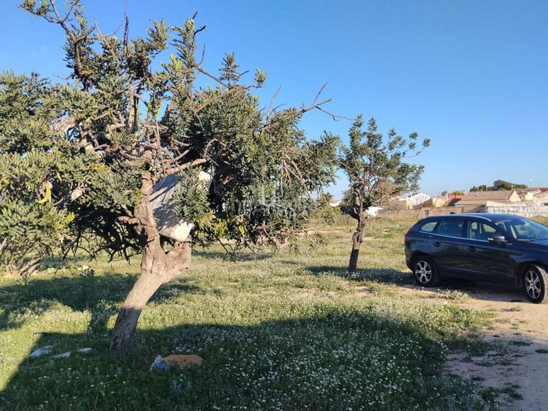 Foto 91d23815-46ce-466d-b089-553d9b44d083. Finca rústica a Torre-Pacheco Torre - Pacheco