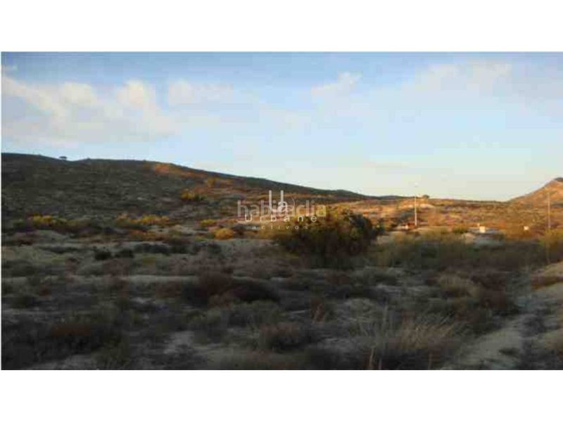 Foto 87a8d230-11e9-4ba7-8b85-1a8b004a5099. Finca rústica a El Palmar Murcia