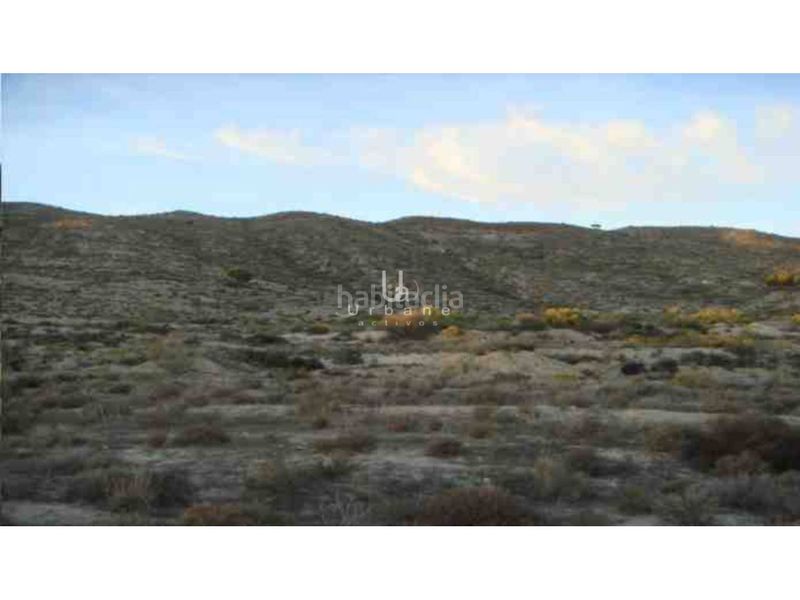 Foto a173bdf8-8877-435e-8922-f5fe107d374f. Finca rústica a El Palmar Murcia