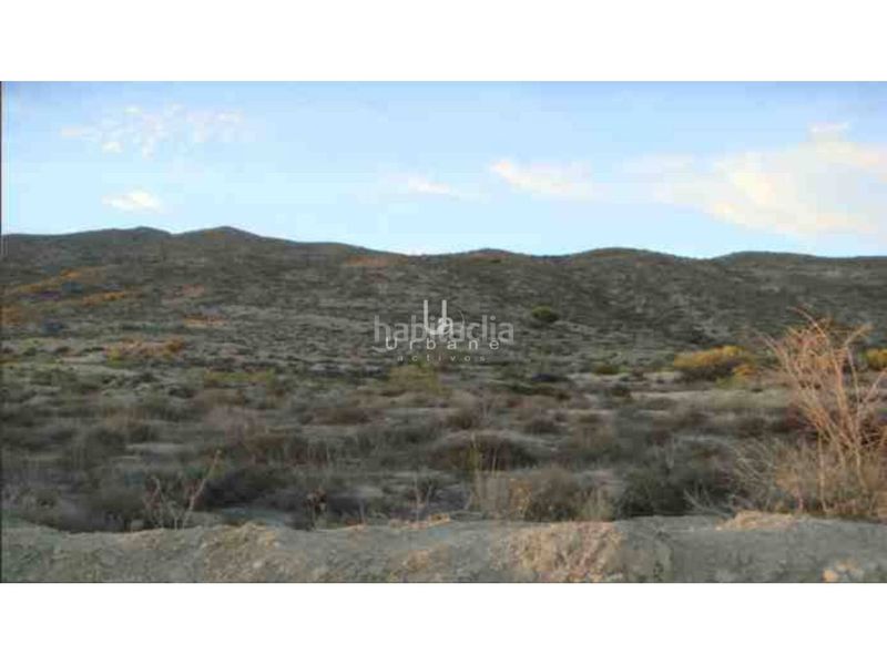 Foto e478342a-6533-4176-8fe4-96cb14357224. Finca rústica a El Palmar Murcia