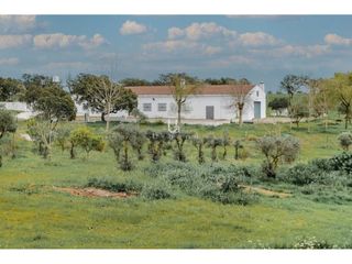Fondo rustico in Carretera paymogo 1. Oportunidad para invertir en pre. la romanera, puebla de guzmán.