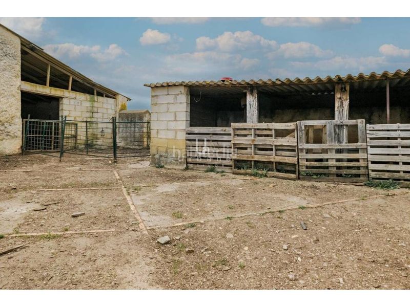 Foto 32d1ba3b-cc42-4927-9284-140fc1d25da3. Finca rústica a Paymogo