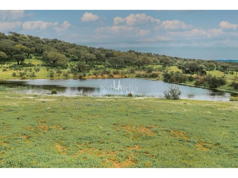 Foto 5991af99-f8b6-43ff-a386-037a4ea05e52. Finca rústica a Paymogo