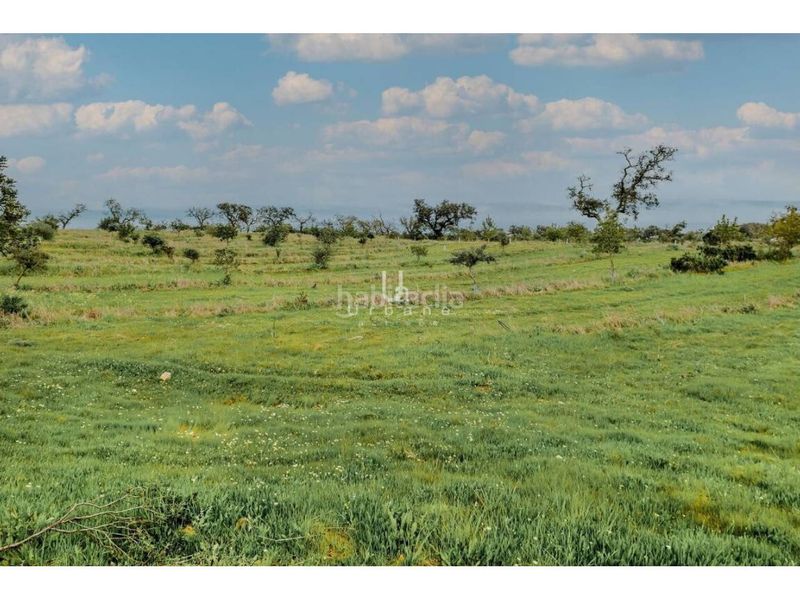 Foto ac201d96-3a33-43ba-ab19-e8aa4a4fce08. Finca rústica a Paymogo