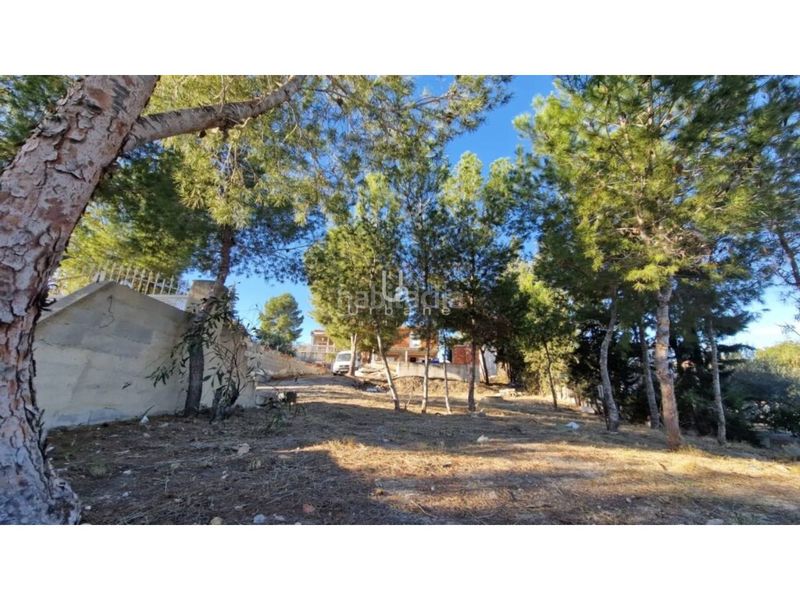 Foto d8b30ab2-1df3-4e1c-861d-6b8bf67aff81. Finca rústica a Perín Cartagena