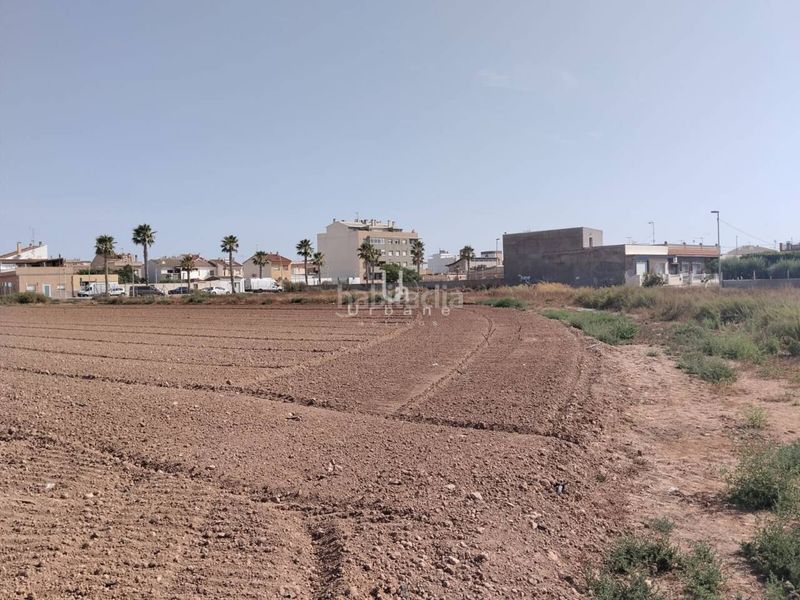Foto 156540b9-31eb-453f-8fa3-0008d95cc506. Finca rústica a Lobosillo Murcia