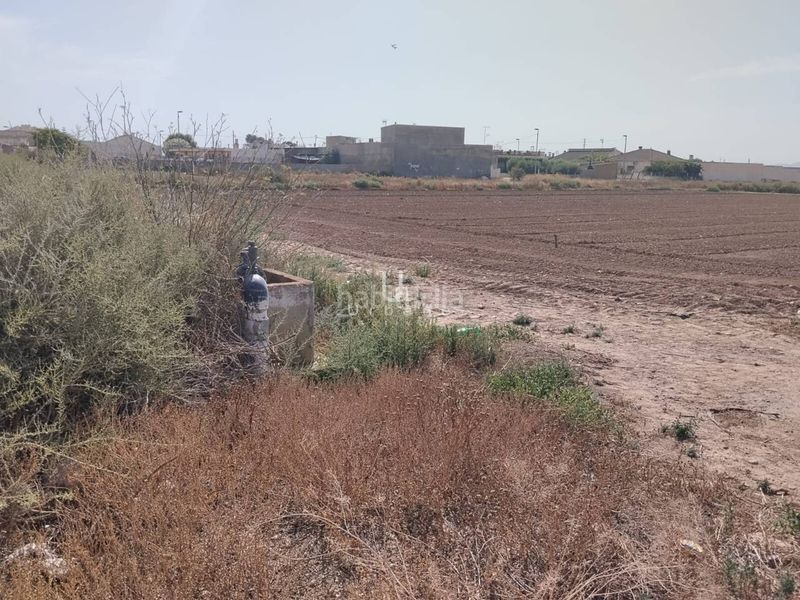 Foto b72cacb7-e3ef-48b0-b5b4-324881c8f1e9. Finca rústica a Lobosillo Murcia