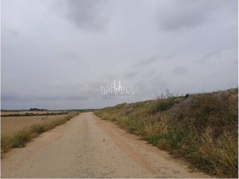 Foto 164481b8-57d4-4787-8e1b-61acc0568839. Finca rústica a Jerónimo y Avileses Murcia