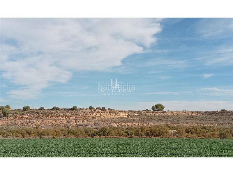 Foto 25a7d721-2bf5-4aa0-844e-306f4de6130a. Finca rústica a Jerónimo y Avileses Murcia