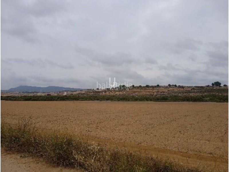 Foto 504e7040-32d1-4d48-a51c-3114875d6867. Finca rústica a Jerónimo y Avileses Murcia